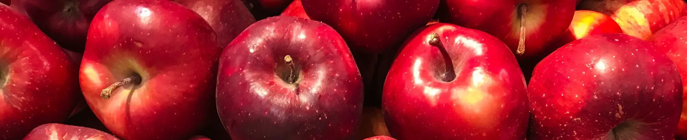A Blog about everything Apples and where to find them 