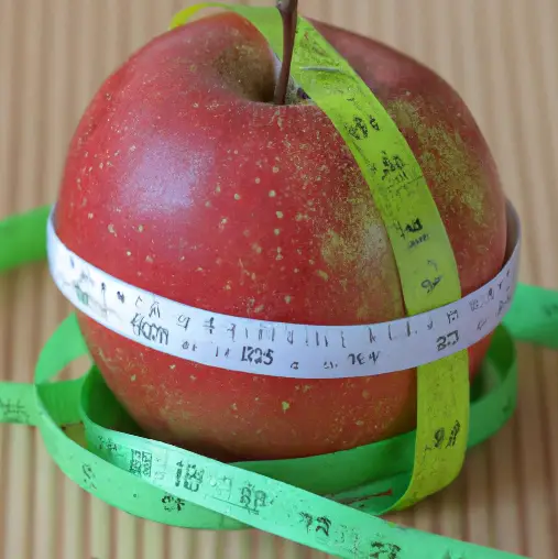weight loss with apple