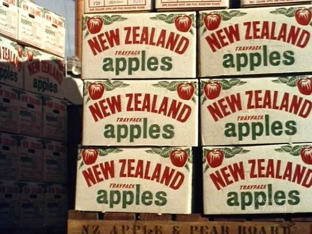 A split image showing different apple export techniques: direct exporting, indirect exporting, joint ventures, and wholly-owned subsidiaries