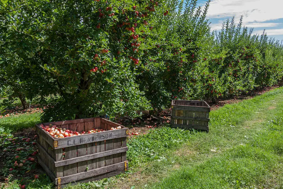 A family walking through an apple orchard, with kids picking apples from the trees.