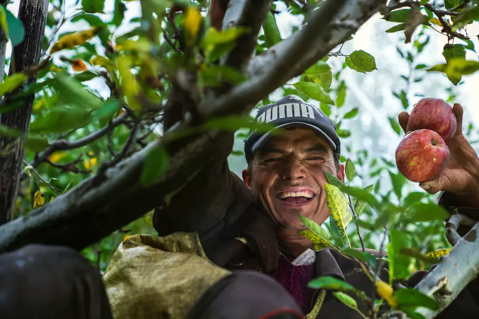 A serene image of a person picking apples in an orchard surrounded by colorful autumn leaves