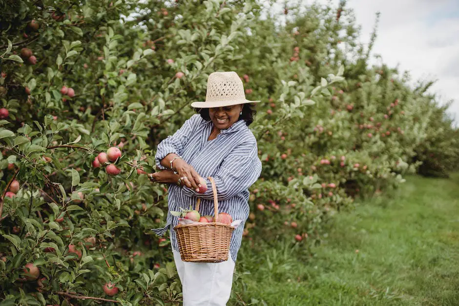 A family picking apples in an orchard