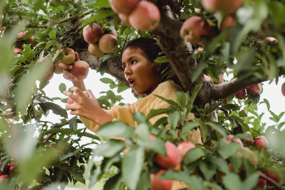 Photograph of a family happily picking apples in an orchard