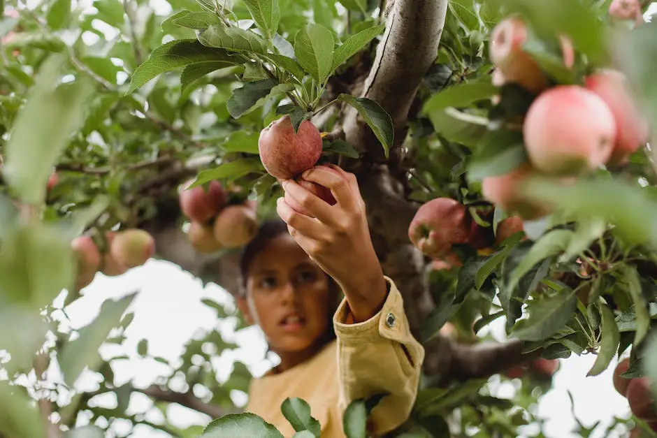 Image of different types of apple tree leaf diseases, showing signs of discoloration and distortion