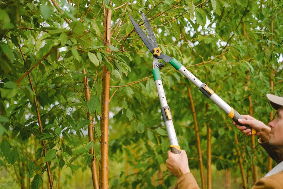 A person wearing gardening gloves pruning an apple tree with pruning shears.