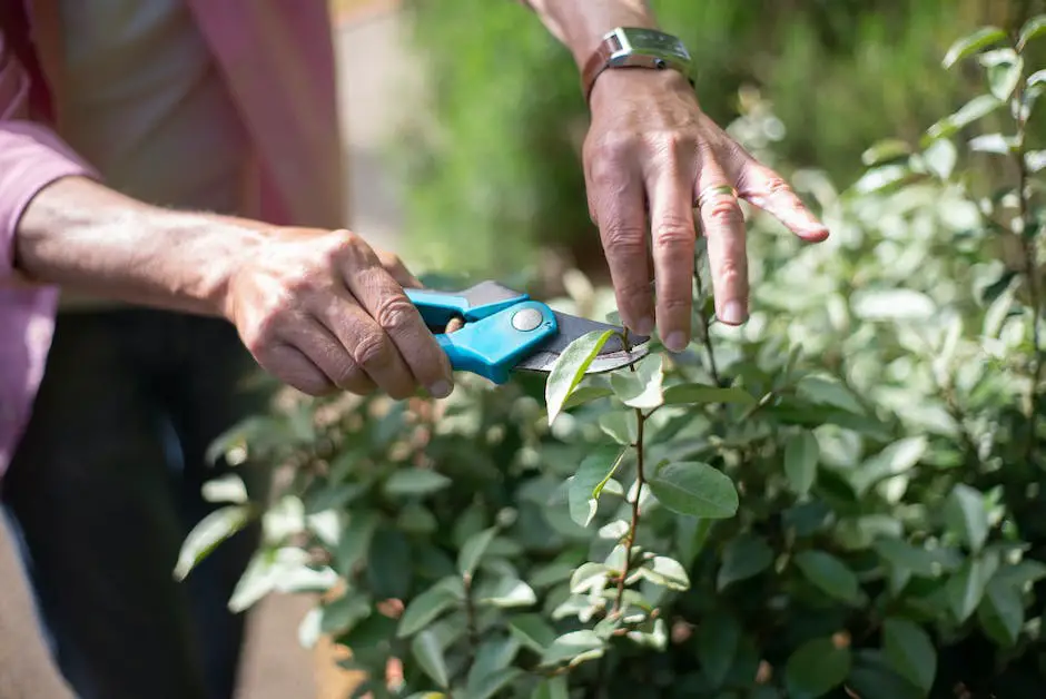 Illustration of a person holding pruning shears cutting a branch of an apple tree