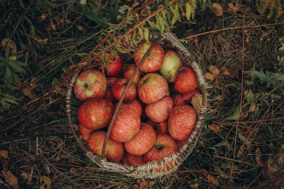 Image of freshly harvested apples, a basket of apples, and a glass of apple juice on a wooden table