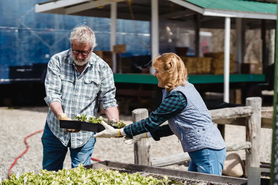 A group of people gathered around a garden, harvesting fresh produce with smiles on their faces and the sun shining brightly overhead