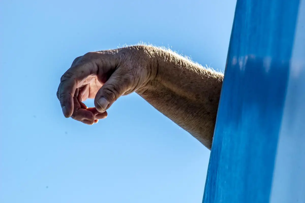 A picture of a chicken eating small, freshly washed crab apples from a person's hand.