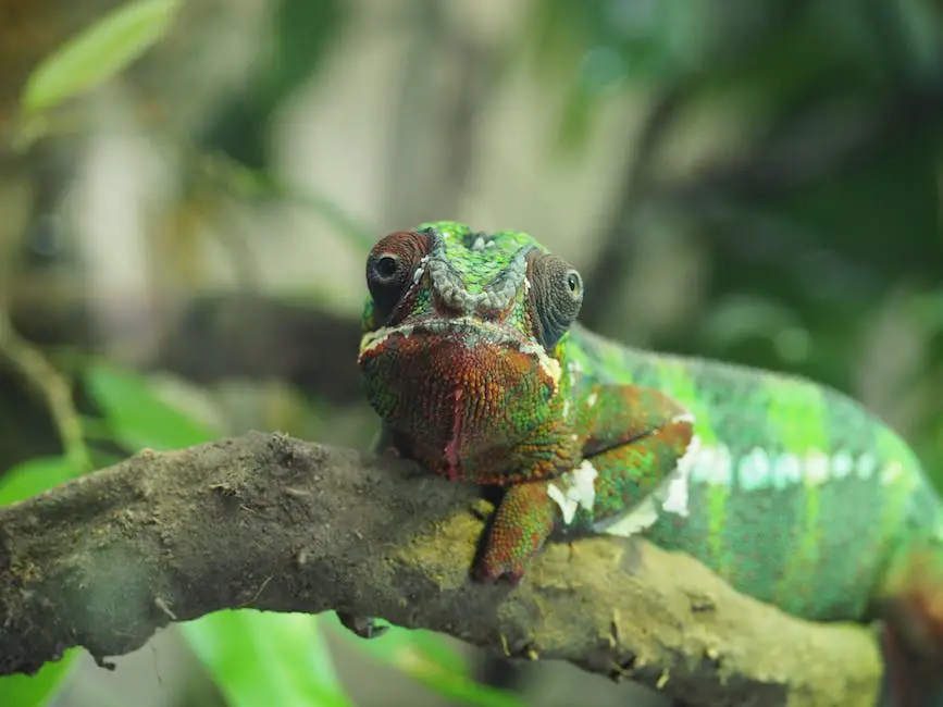 Crested gecko with distinctive appearance sitting on a leaf.