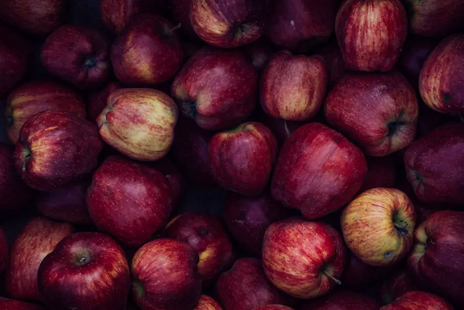 A person picking apples in a Delaware orchard during the autumn season