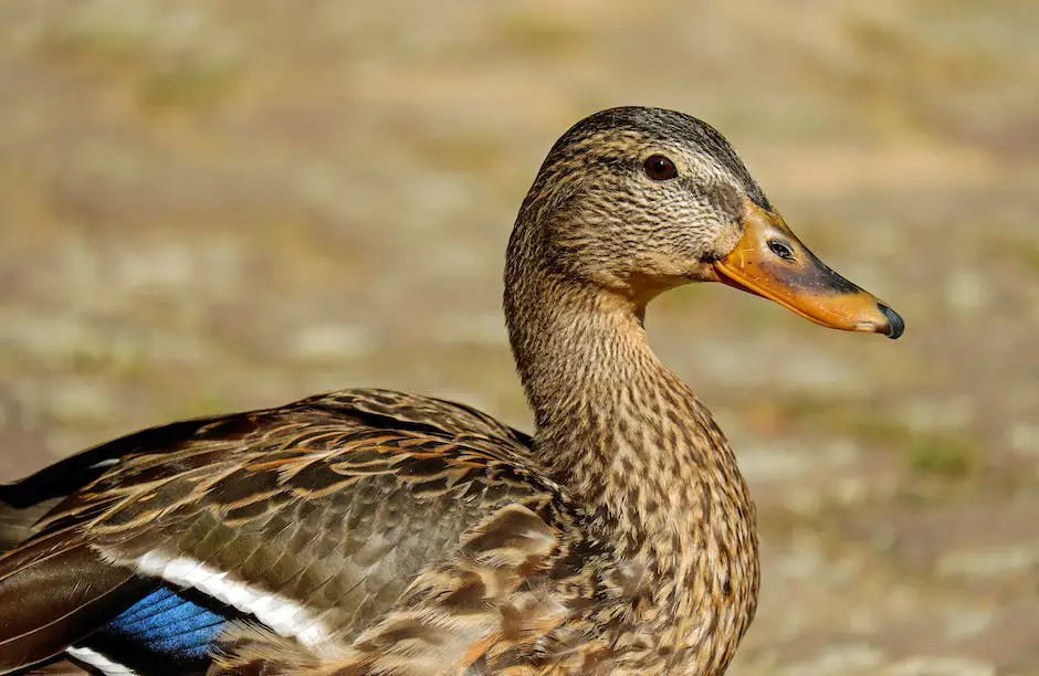 A duck holding an apple in its beak.