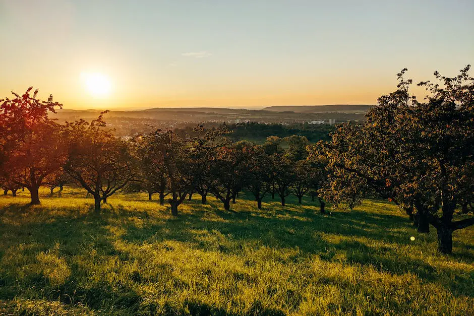 Image of different varieties of apple trees with leaves, flowers, and fruits for visual reference